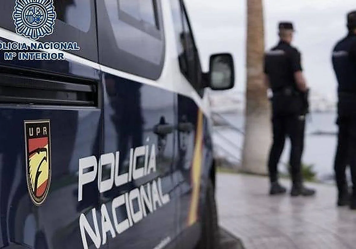 Marbella crime: international gang behind armed villa robberies arrested