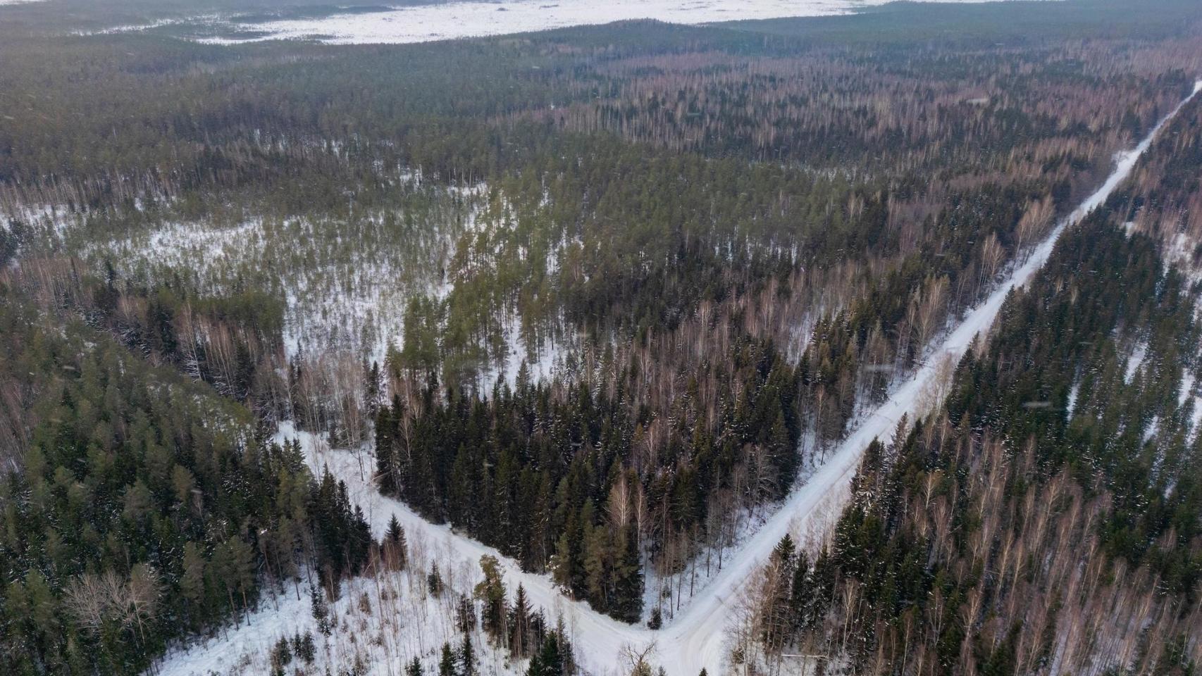 La batalla judicial de unos campesinos estonios que pone en jaque los programas de restauración natural en Europa