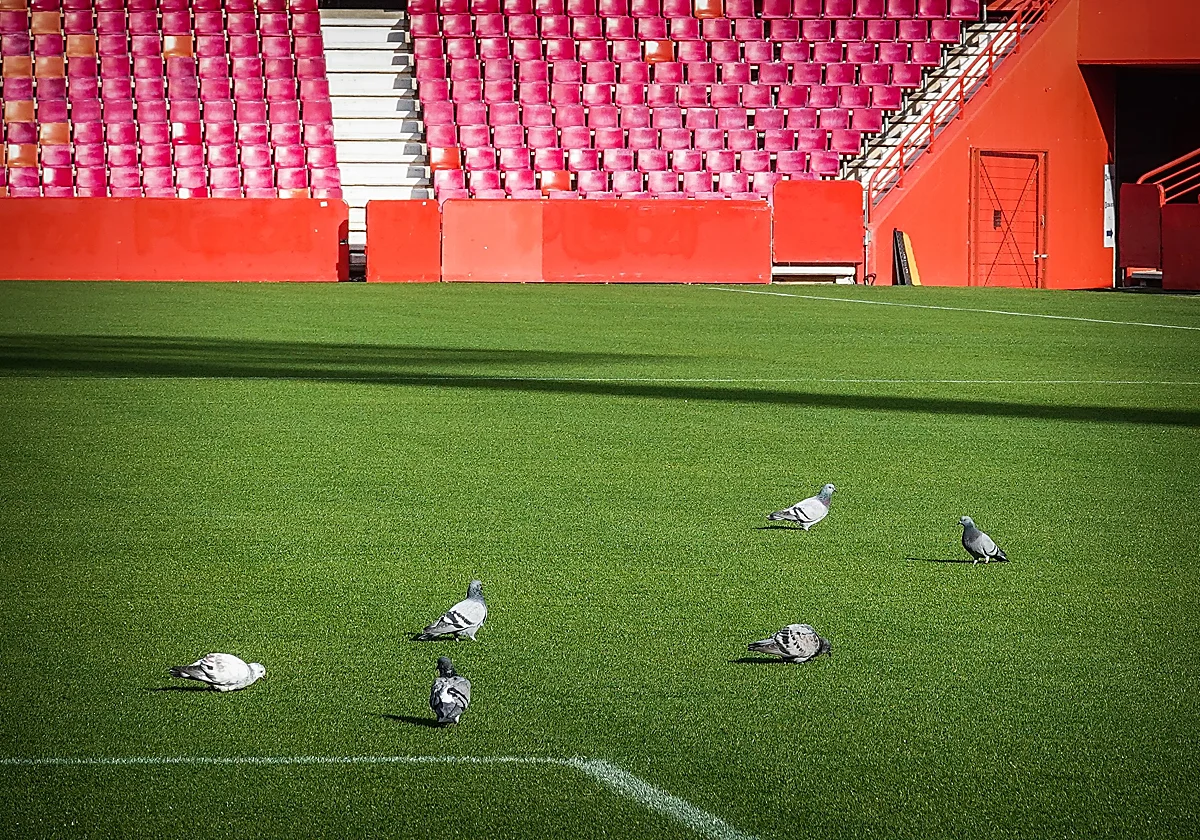 Horario y dónde ver en televisión el Granada-Málaga