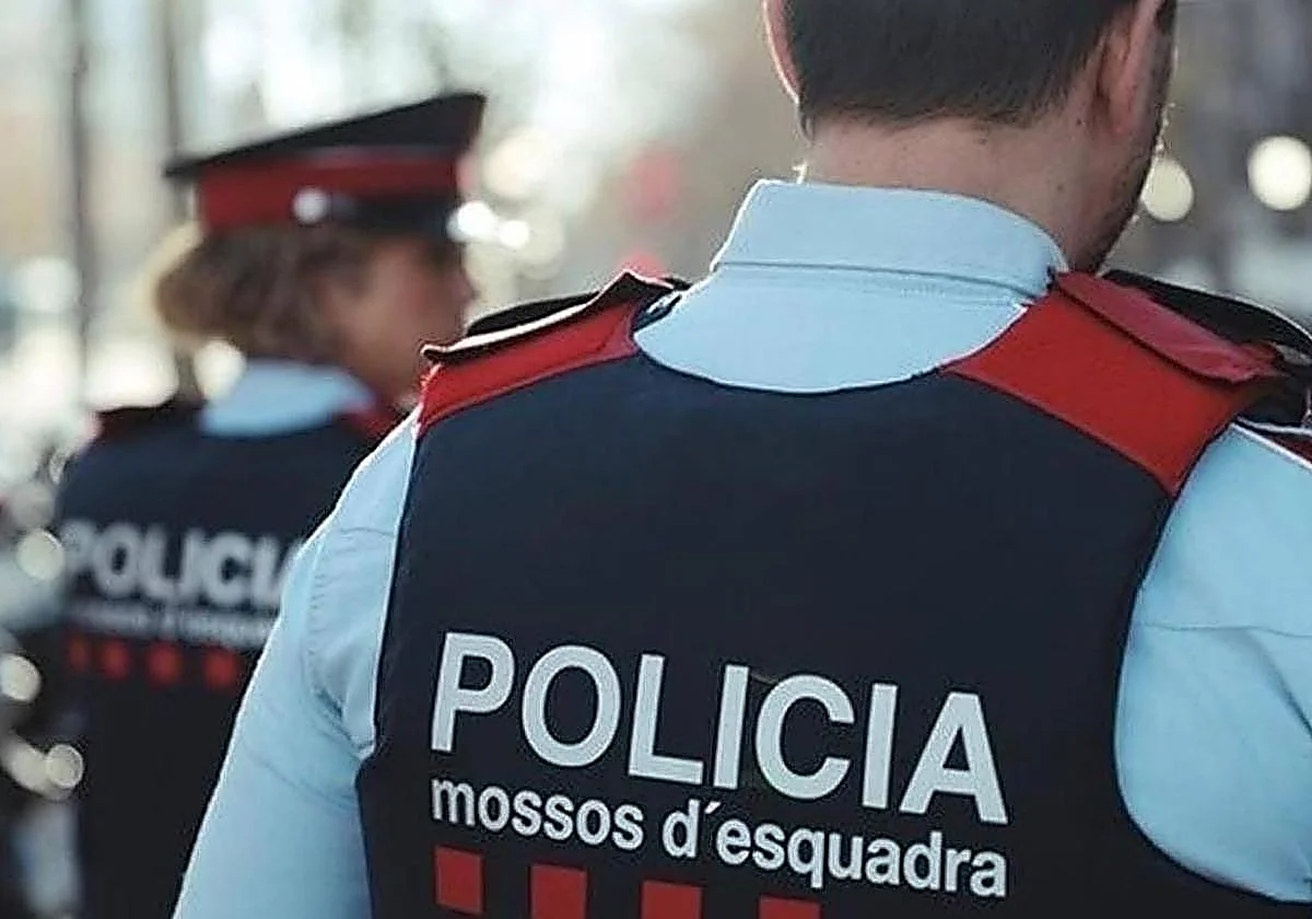 Spain drug-trafficking: blow to hashish network with 17 arrests in Catalonia, Malaga and Italy