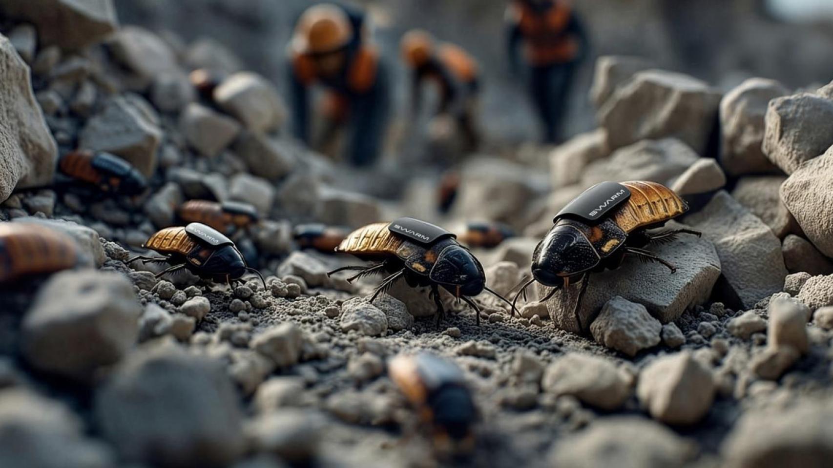 Cucarachas cyborg para misiones de reconocimiento: la ciencia ficción ya es real y llega donde no lo hacen los drones