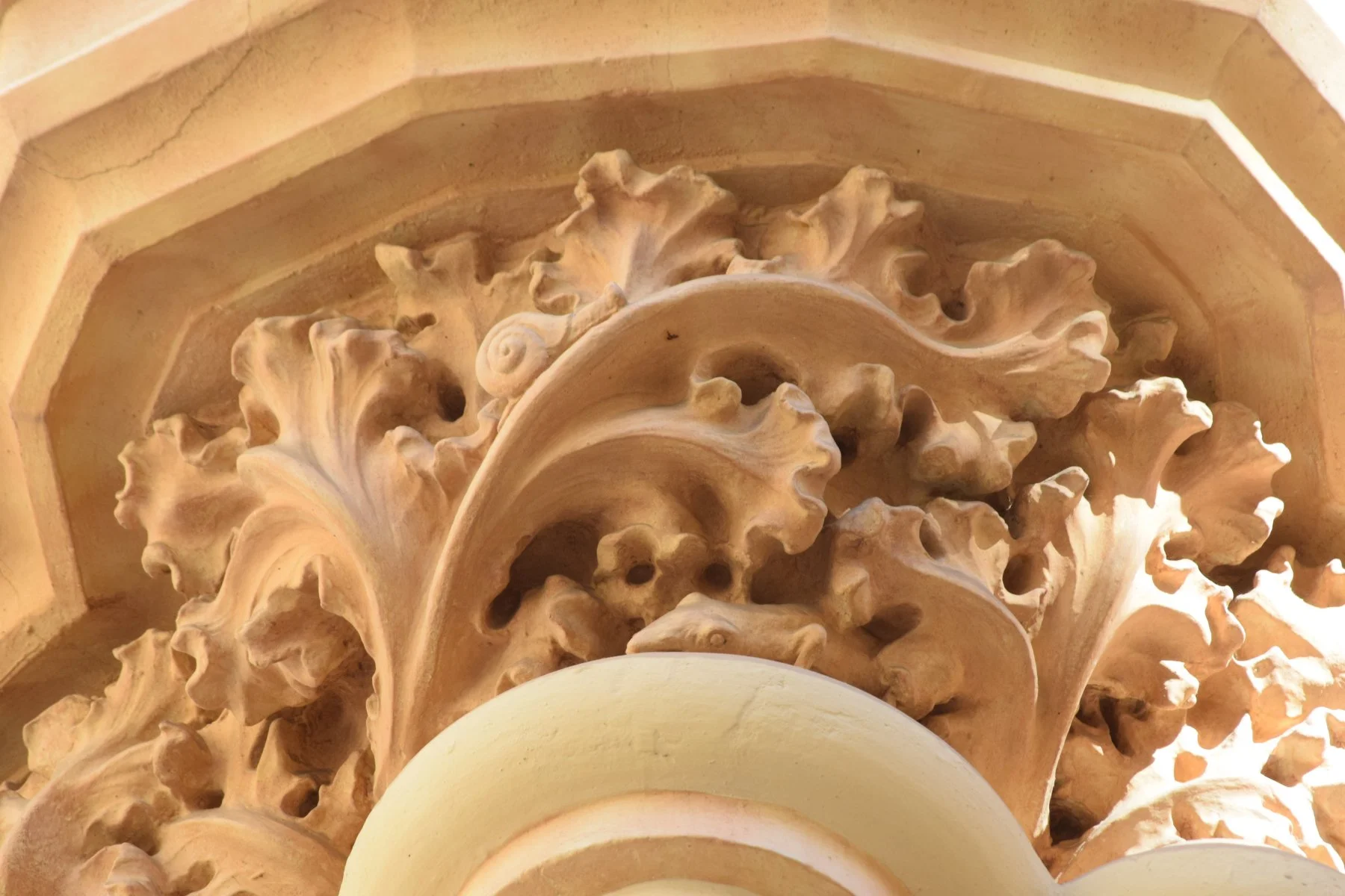 El caracol y la salamanquesa