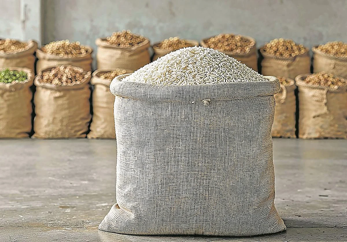 Hortalizas para Dubai en Etiopía y maíz para China en Angola