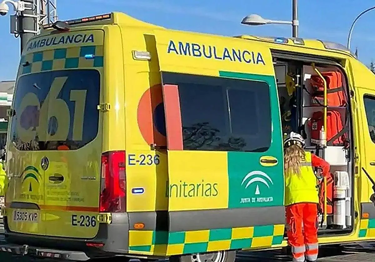 Un joven de 25 años evacuado al Clínico tras caer por un mirador de Torremolinos