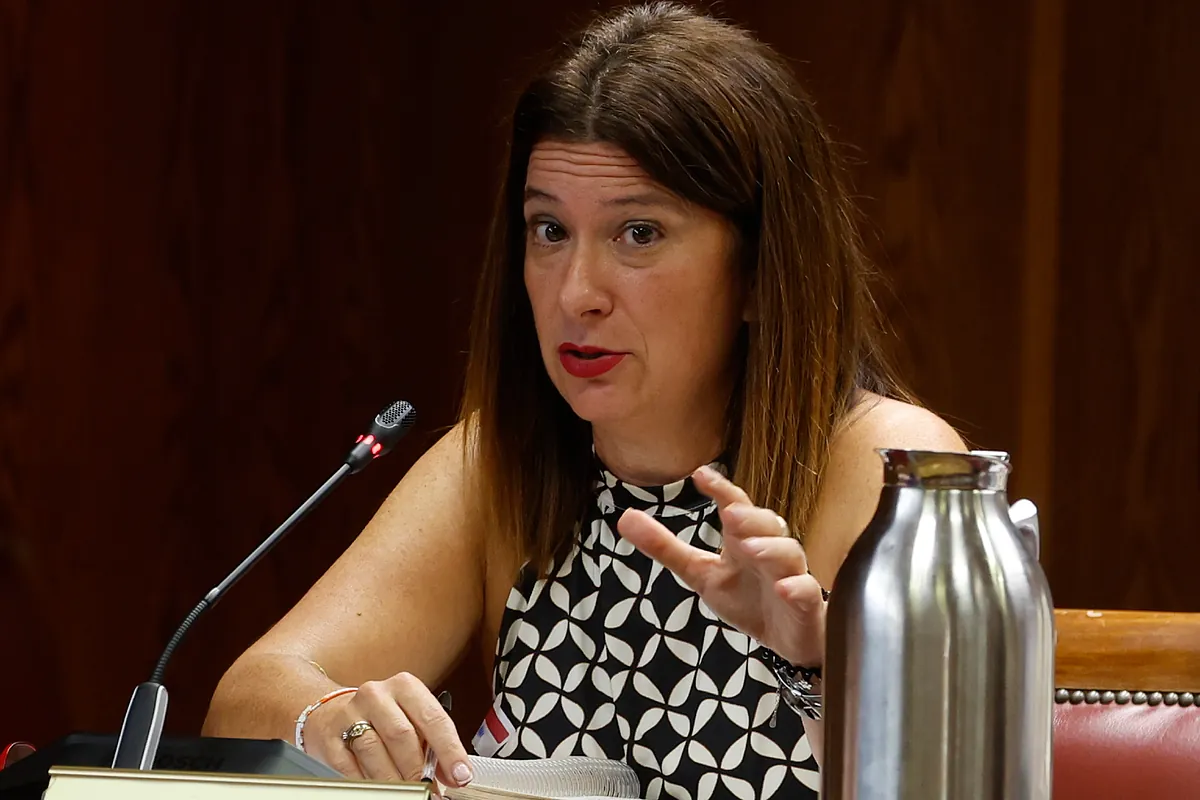 Detenidos la exmilitante socialista Leire Díez y el expresidente de la Sepi Vicente Fernández