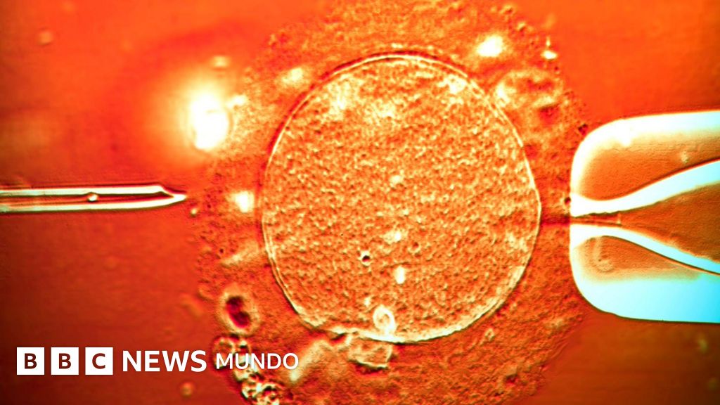 El esperma de un donante con un gen cancerígeno se utilizó para concebir casi 200 niños: "Varios desarrollaron tumores y algunos ya han muerto"