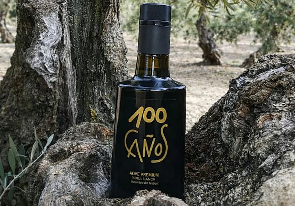 AOVE 100 Caños: el hojiblanca de cosecha temprana que se cuela entre los mejores de España