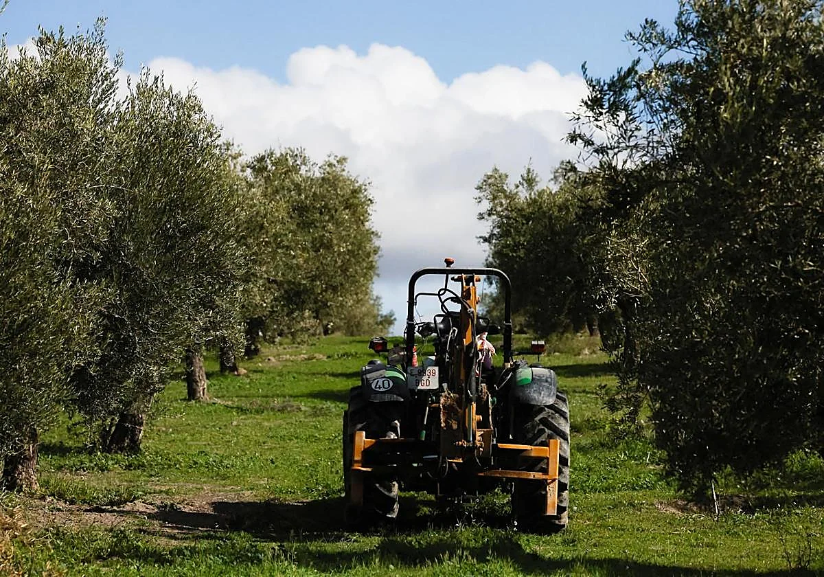 Alarma en el campo ante la tensión en Irán que amenaza con disparar los costes de producción