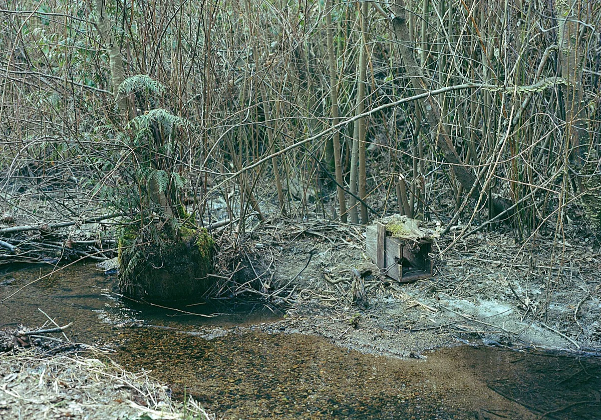 Jeff Wall e Ian Wallace, presentes en la escena