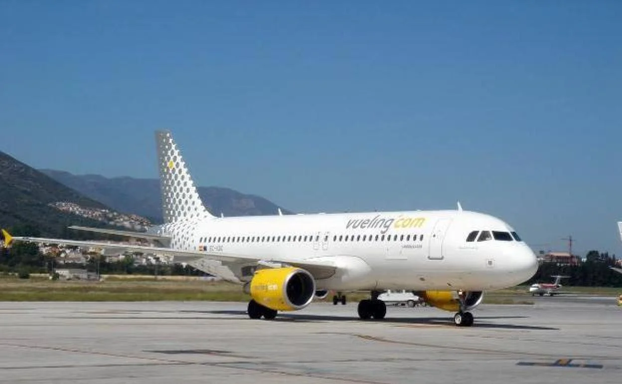 Un vuelo de Málaga, forzado a desviar su rumbo por culpa de un grupo de pasajeros «conflictivos»