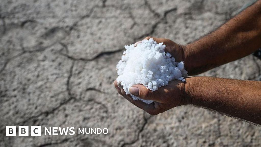 Qué es la intrusión salina y qué efectos puede tener en la economía y nuestra salud