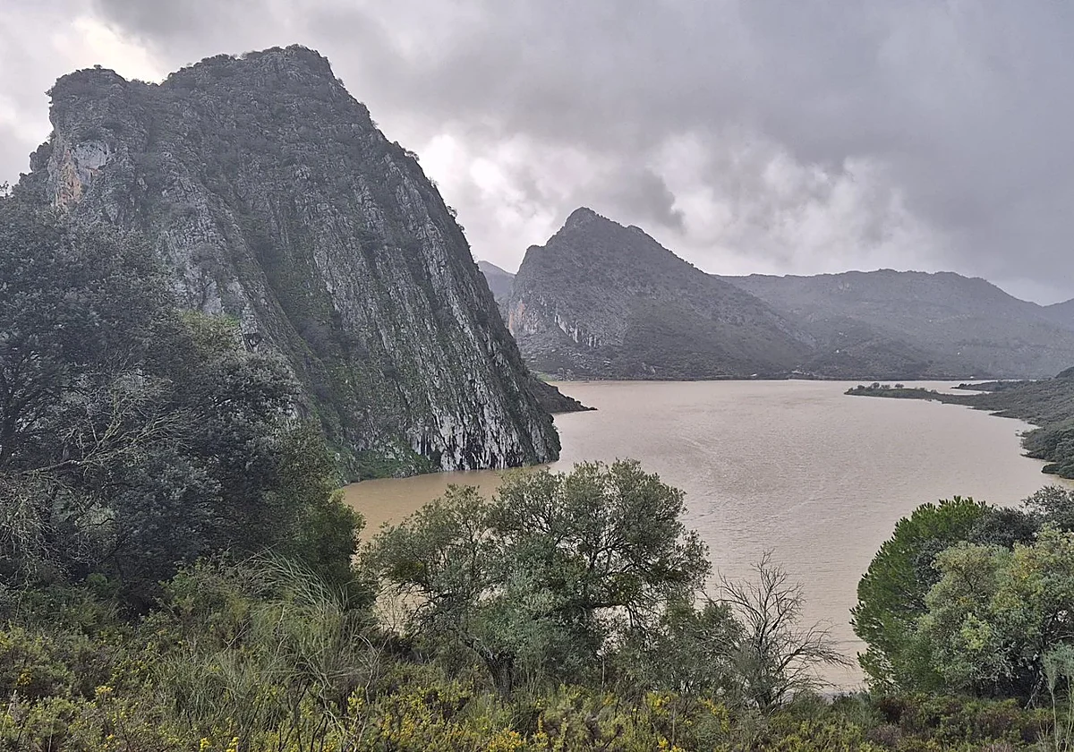 La presa de Montejaque baja diez metros en tres semanas su nivel de agua embalsada