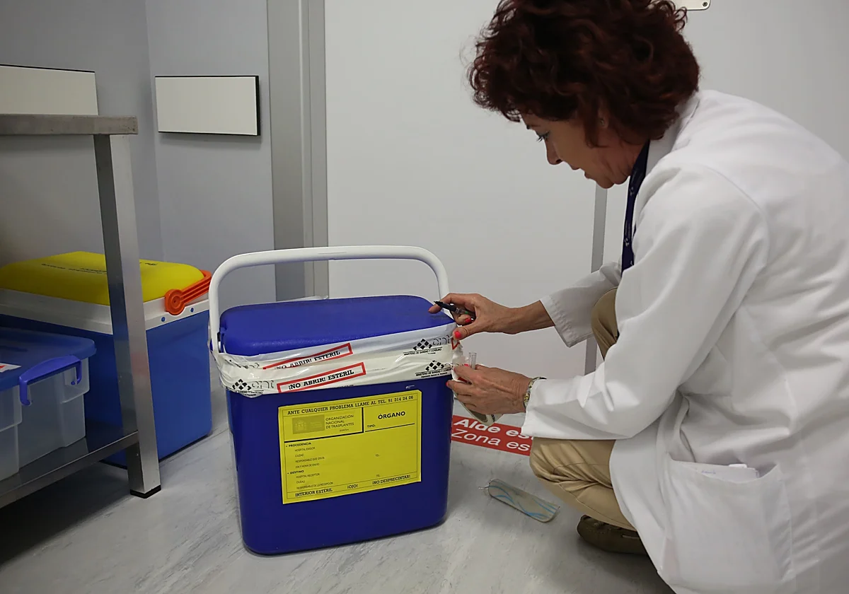 El 'corazón quemado' que Italia lamenta y que nunca se habría trasplantado en España