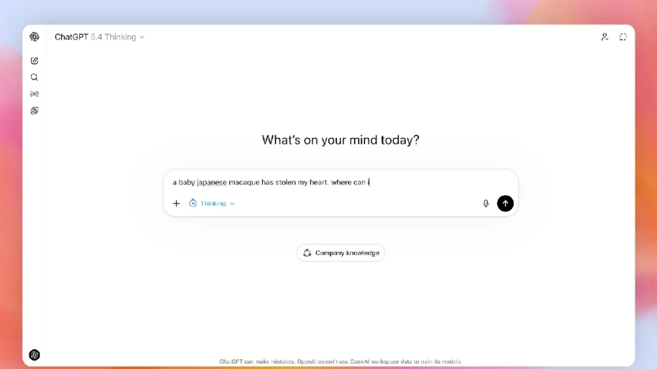 GPT-5.4, el nuevo modelo de OpenAI, puede ejecutar tareas en una computadora en nombre del usuario