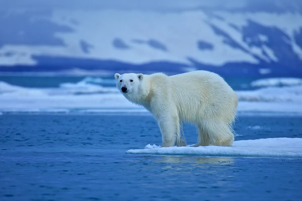 La Tierra se está calentando más rápido de lo que se había estimado previamente