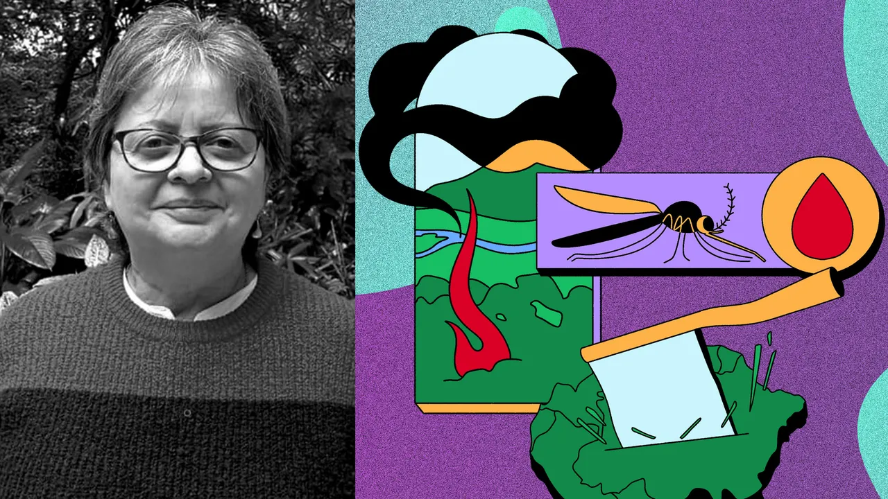 María Eugenia Grillet, la científica que traza los mapas ocultos de la malaria en el Amazonas para revelar cómo la deforestación y la minería ilegal desatan amenazas contra la salud global