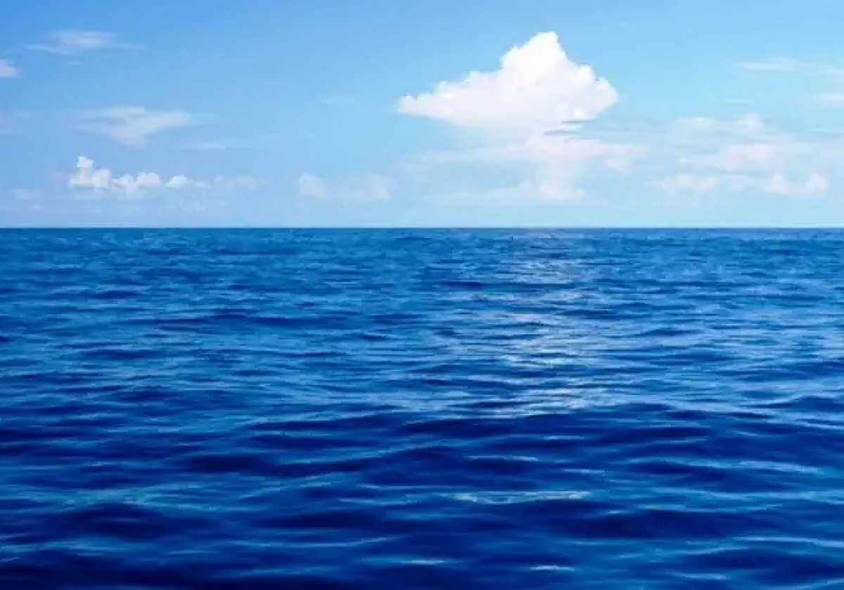 Biografía no autorizada de un color