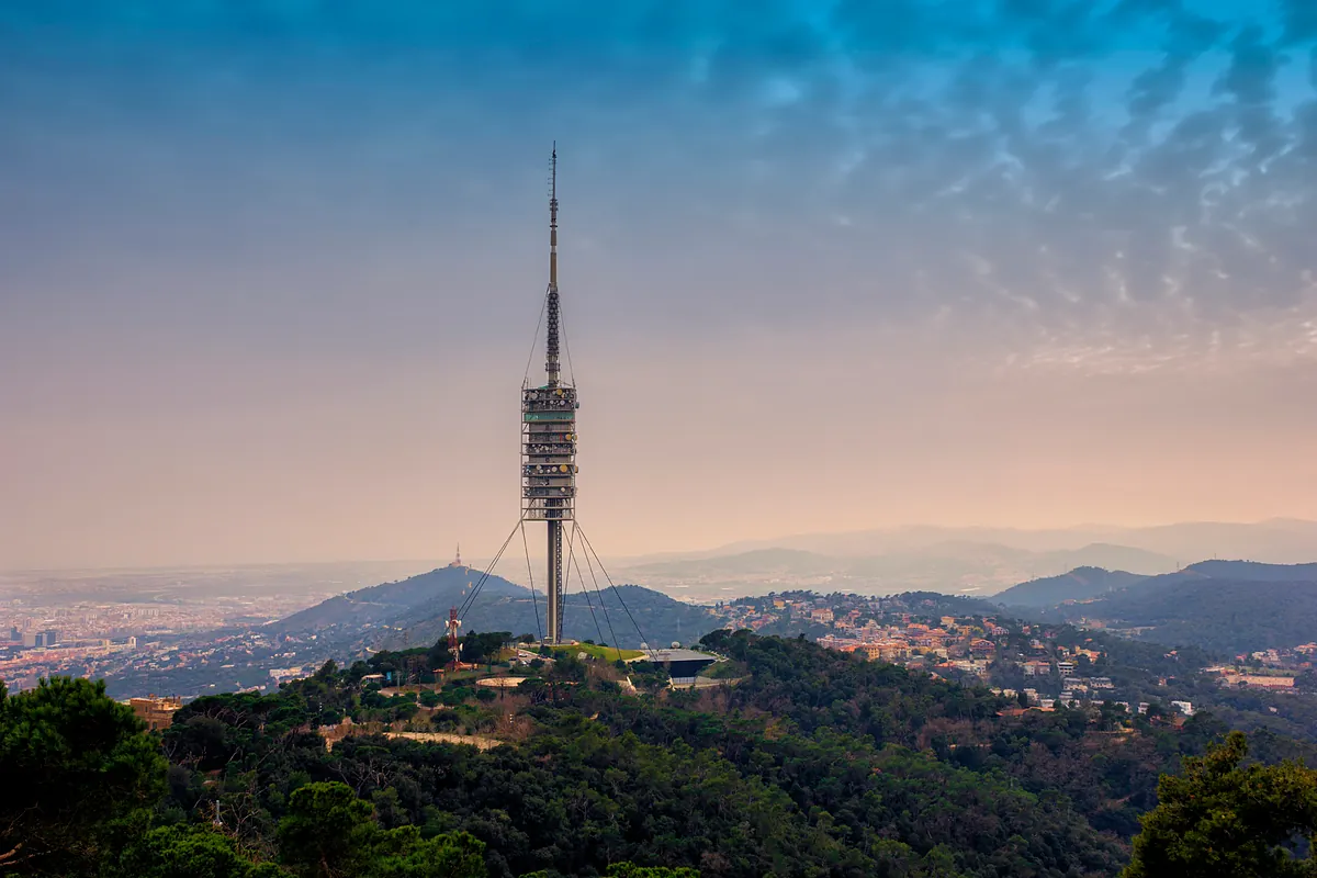 El brote de peste porcina llega al término de Barcelona y obliga a cerrar Collserola