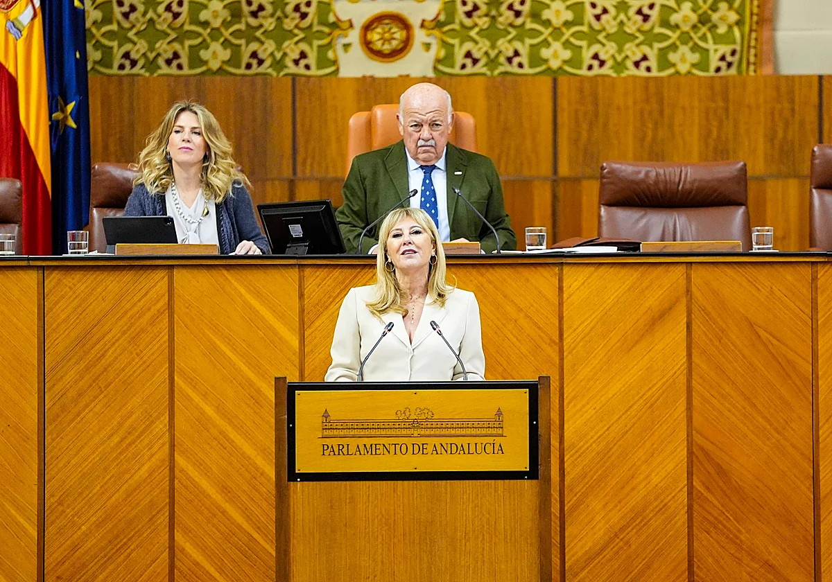 El Parlamento convalida con polémica el decreto-ley de ayudas por el temporal