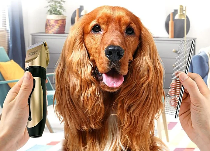 No te pierdas estos kits para cortar el pelo de tu perro en casa