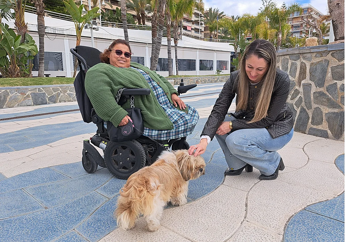 New pet ownership regulations and dog leash laws in Almuñécar: a guide to fines and compliance