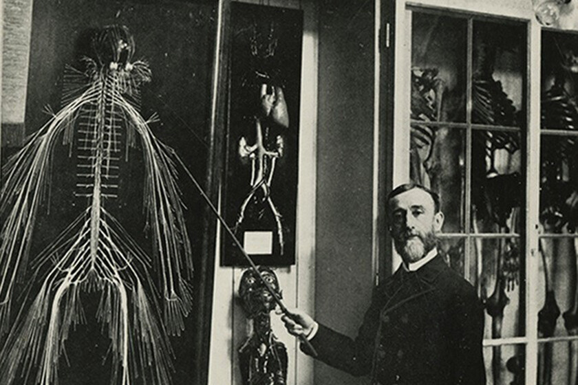 En 1888 un doctor inglés diseccionó un cadáver hasta dejarlo solo en sus nervios. Y alumbró la ciencia forense en el camino