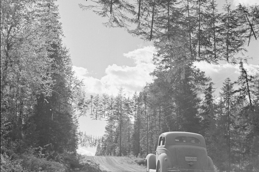 Para Finlandia, proteger sus carreteras en la segunda Guerra Mundial era esencial, así que se inventó los árboles voladores