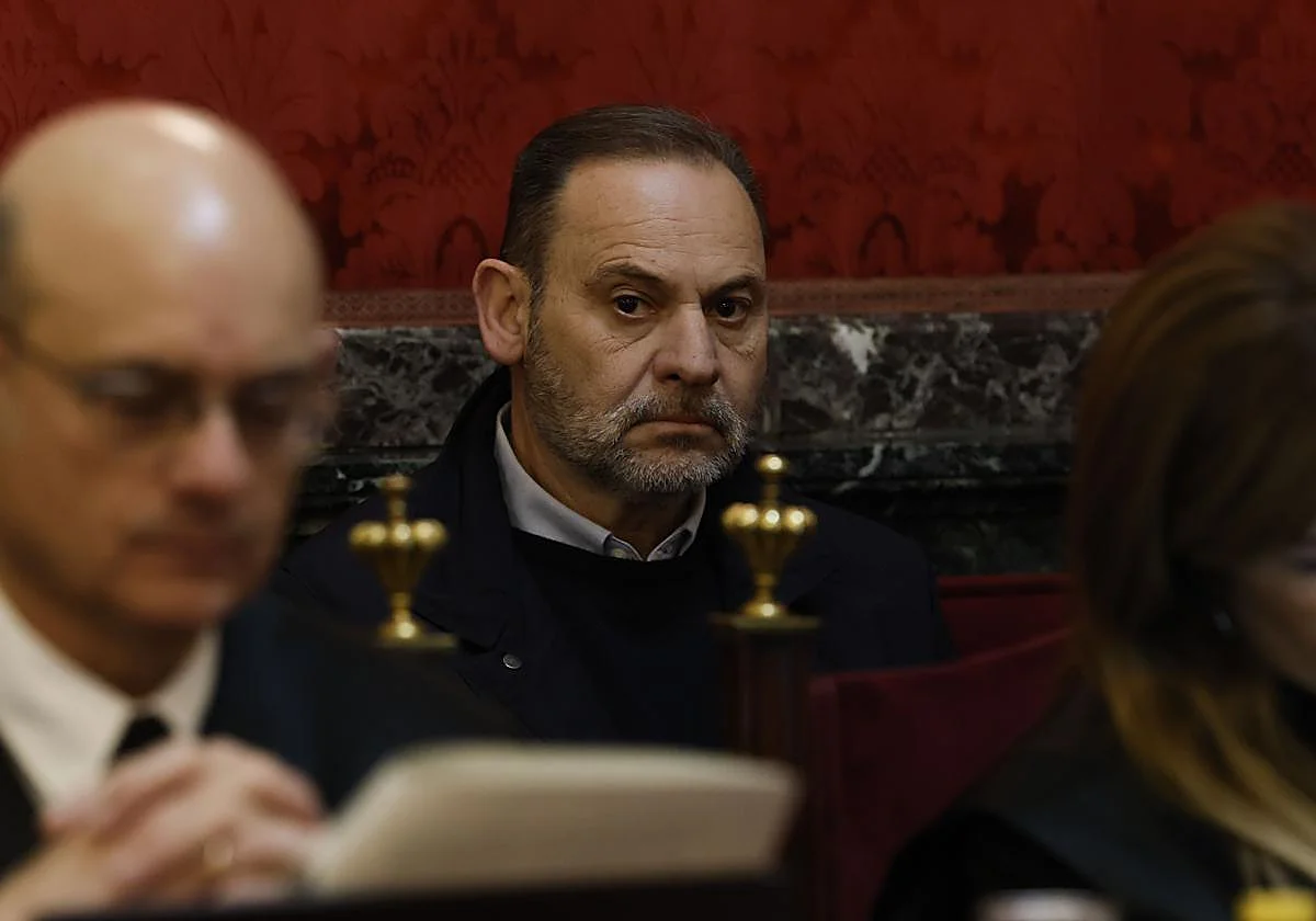 Ábalos y la última baza de su defensa