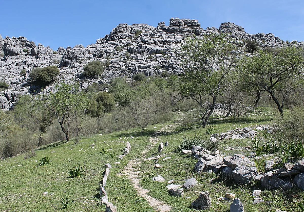 La ruta de la Serranía de Ronda que recuerda al Torcal que ya no se puede completar