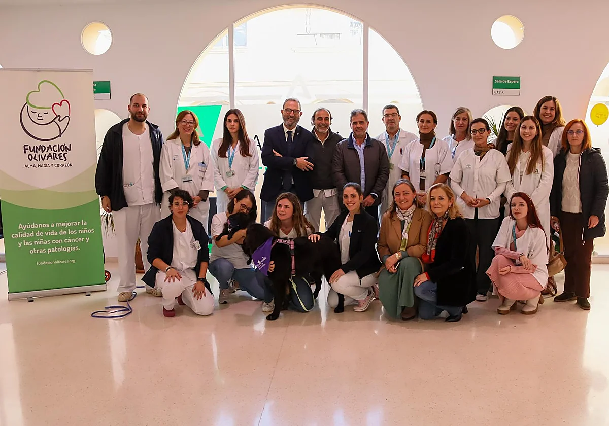 Malaga hospital to use innovative dog therapy to treat patients with eating disorders