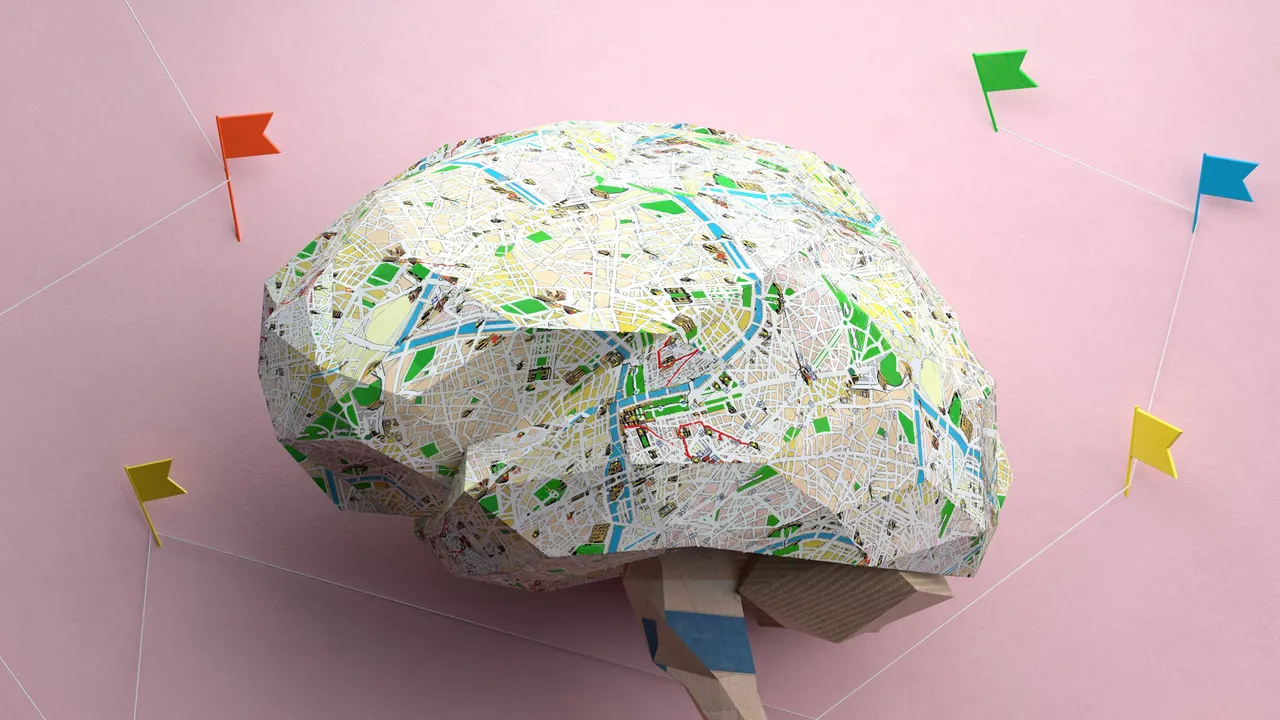 Descubren cómo el cerebro construye un “mapa” para interpretar las emociones