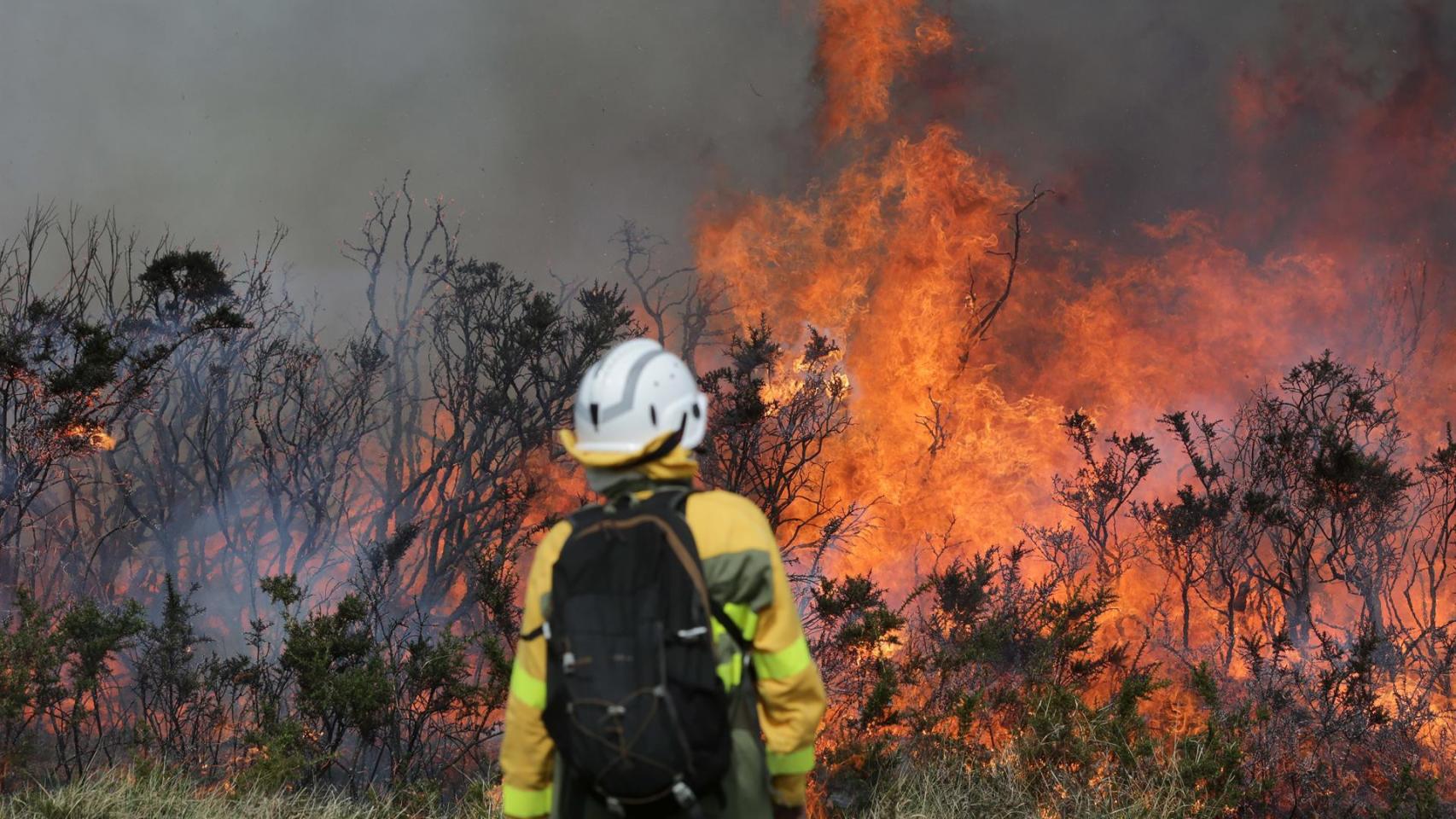 Cuatro hectáreas quemadas en un incendio forestal en Muíños (Ourense)
