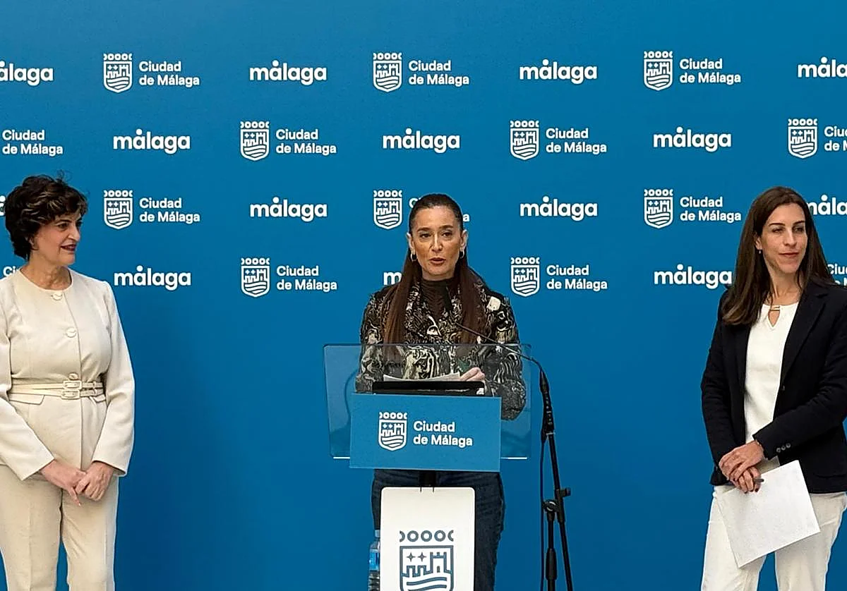 Málaga anima a los sectores productivos a que «emprendan acciones legales» por el retraso de la obra del AVE