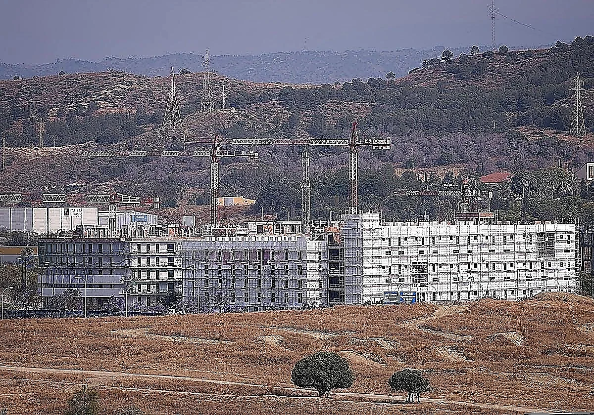 El decano de los economistas: «La dificultad de acceso a la vivienda en Málaga llega a cotas inimaginables»