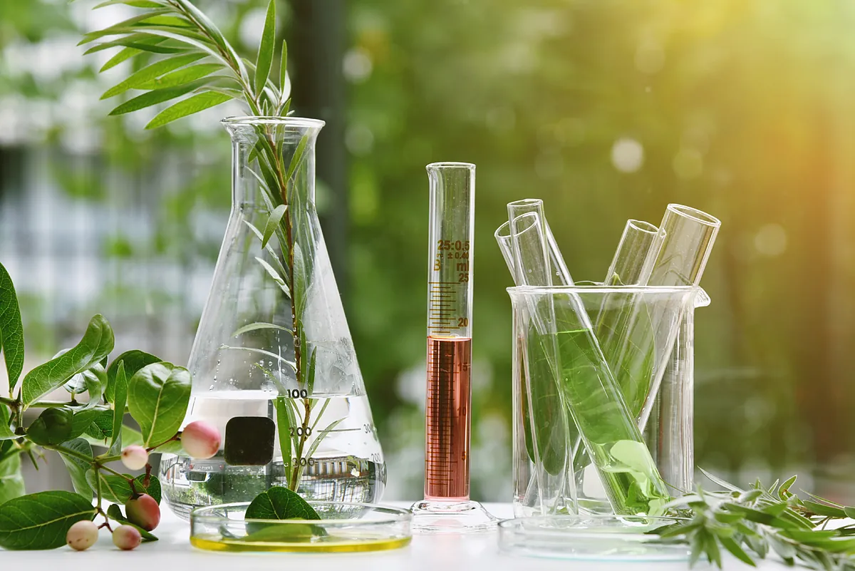 Por qué la agricultura sostenible puede mejorar nuestra piel