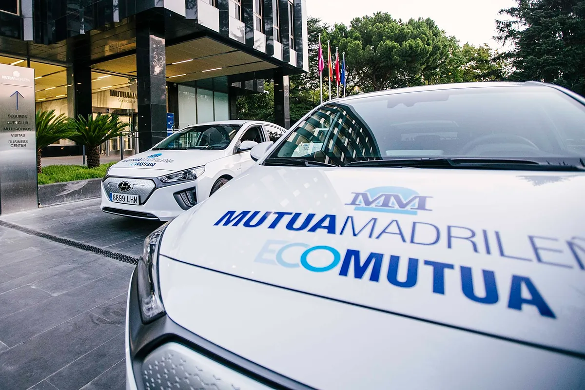 Mutua: claves de la buena ratio combinada en autos