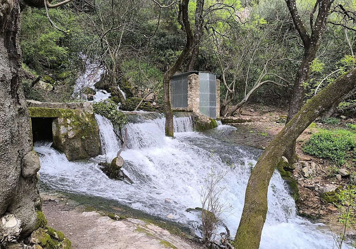 Spectacular springs and waterfalls worth visiting in Malaga after the recent rains