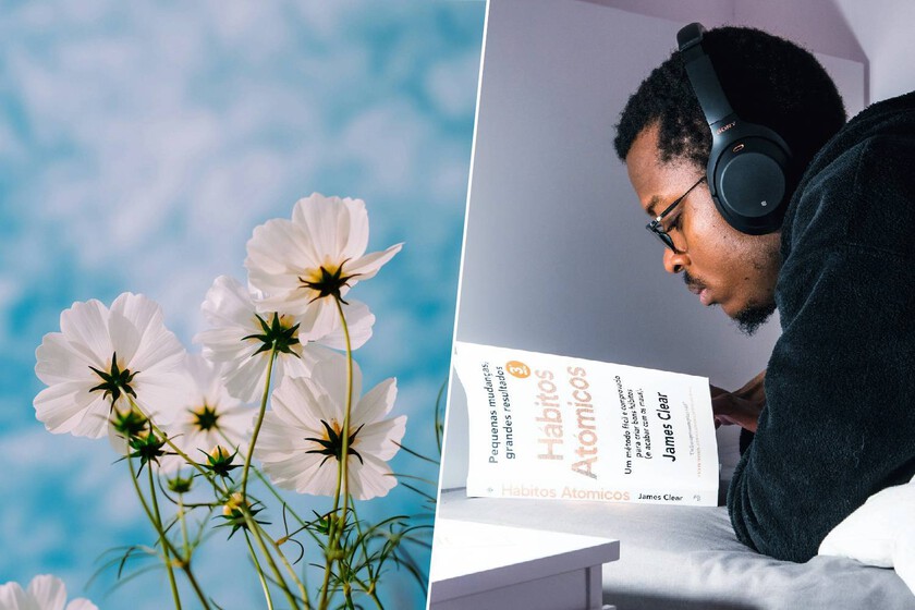 La psicología dice que el mejor momento del año para marcarte propósitos no es el 1 de enero: es ahora en primavera