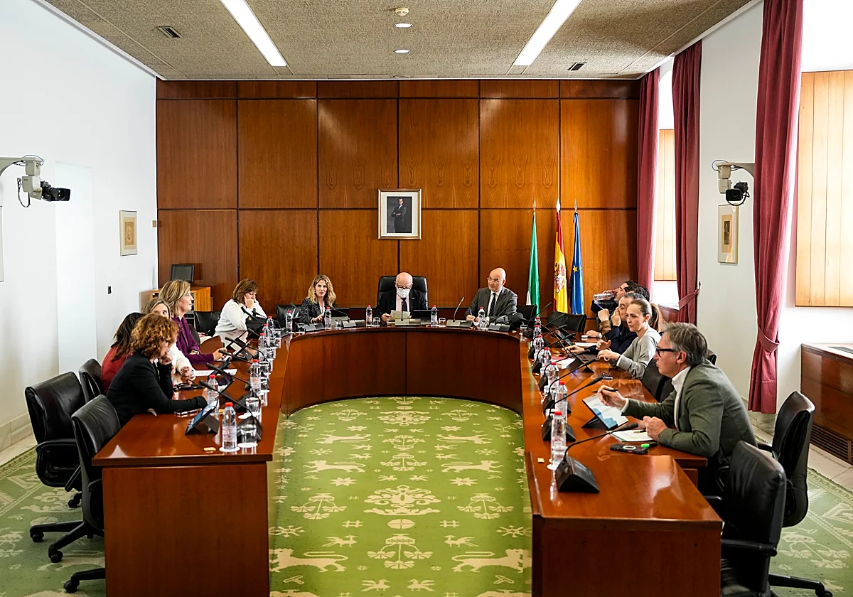 El Parlamento de Andalucía agota su agenda y abre la puerta a la convocatoria electoral