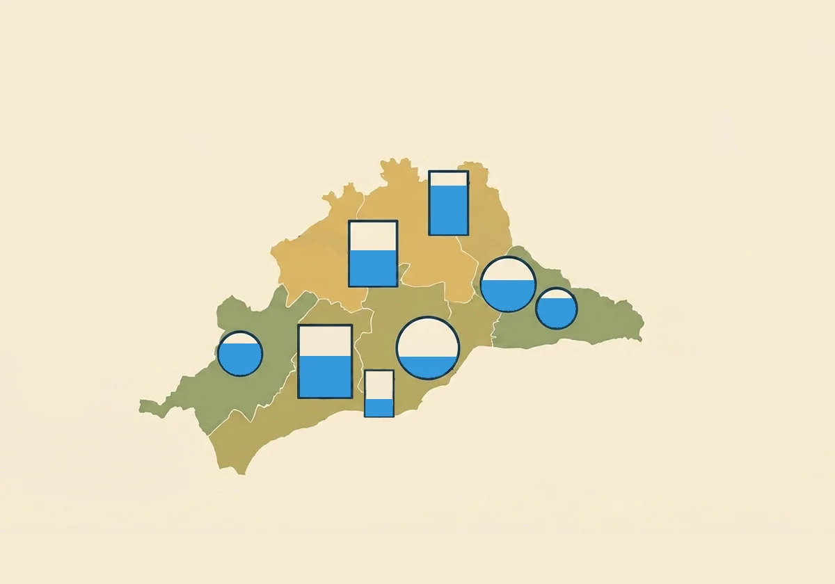 Estado de los embalses de Málaga el jueves, 19 de marzo de 2026