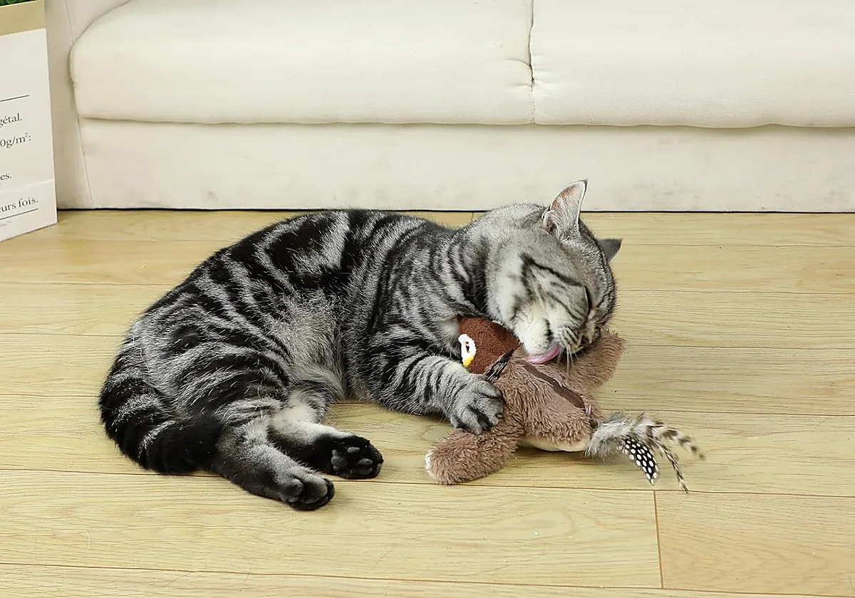 Acaba con el sedentarismo de tu gato con estos juguetes interactivos