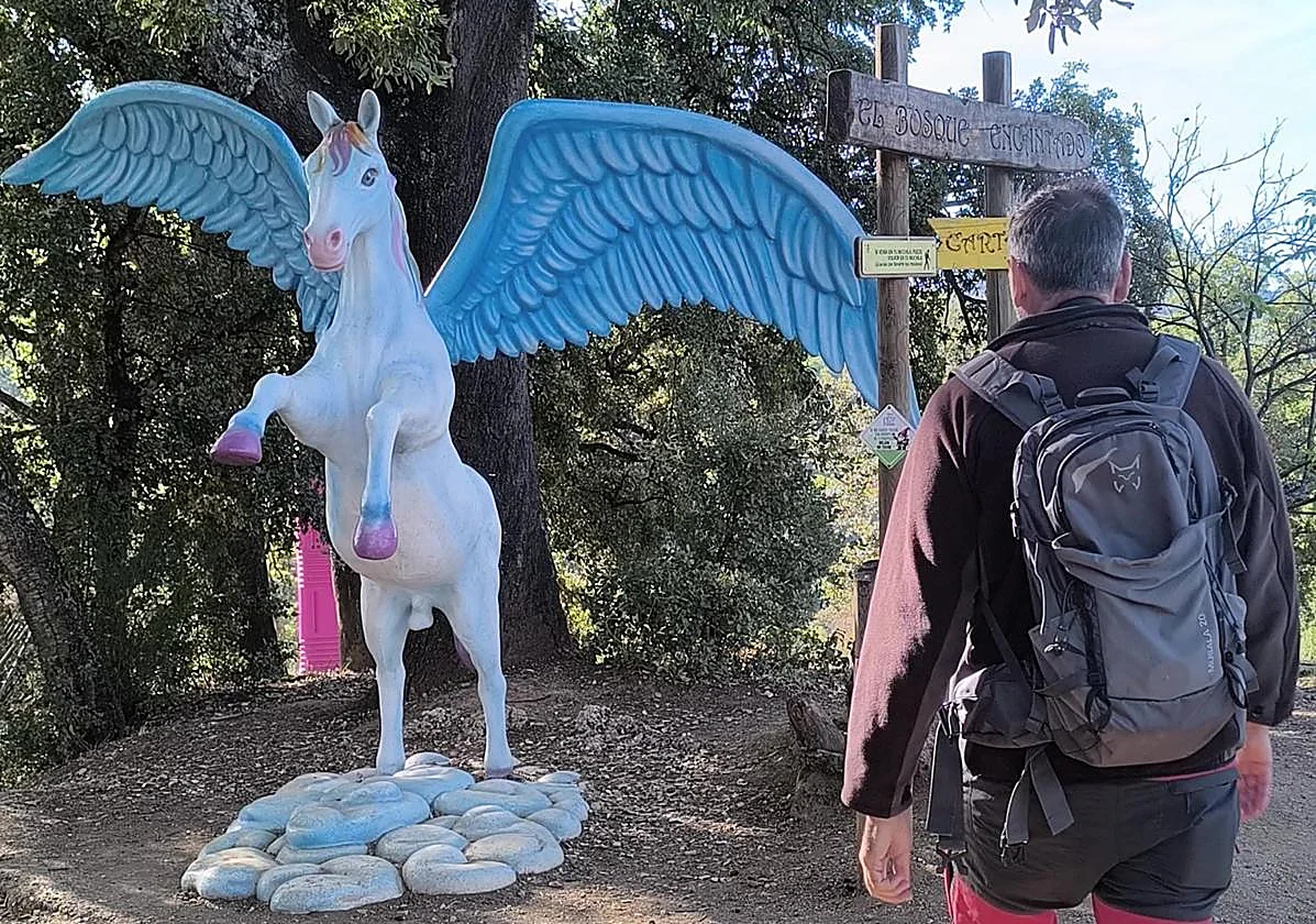 Malaga village calls for help to reopen main source of income: the Enchanted Forest