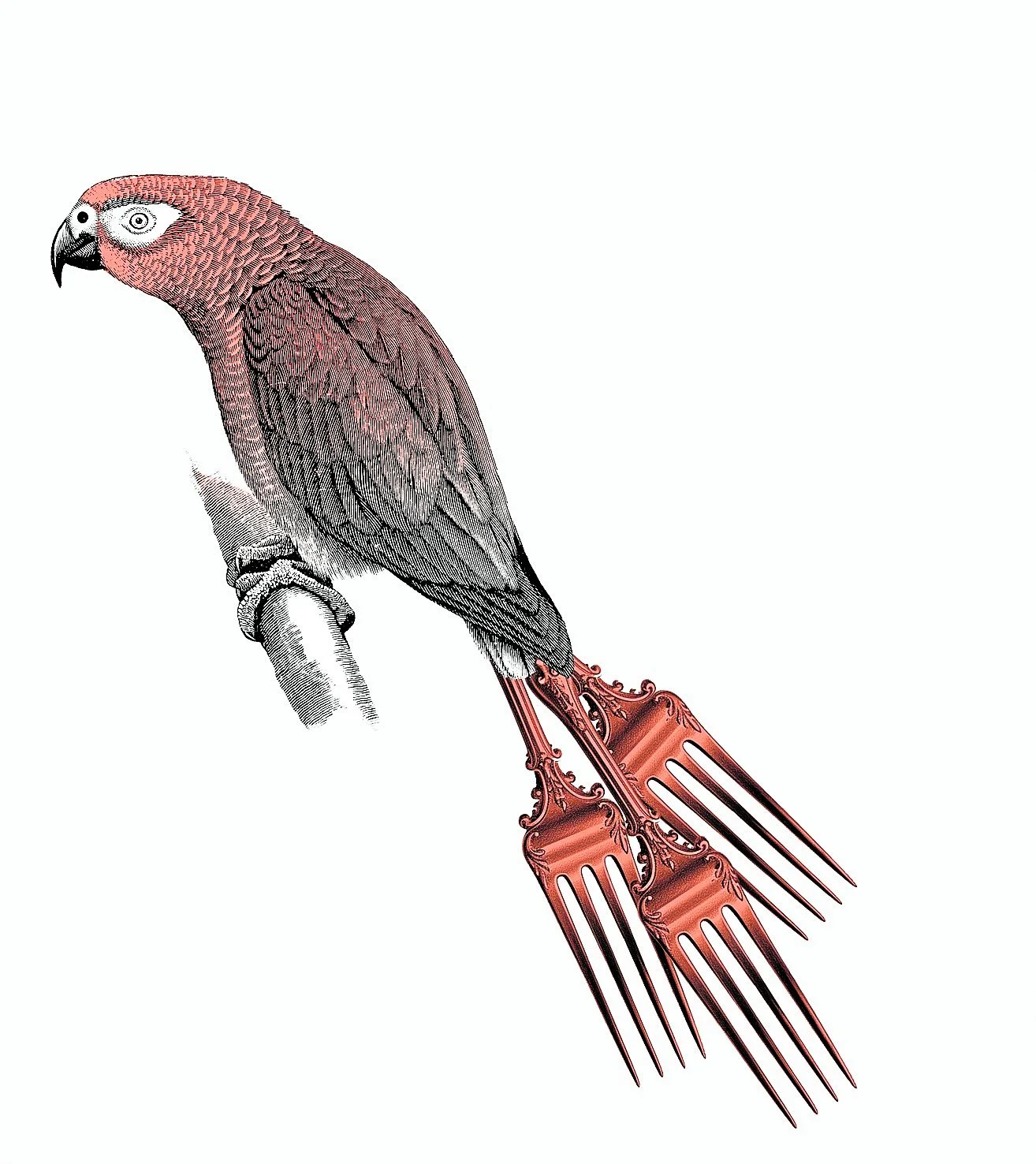 El espíritu de Río de Janeiro (II)