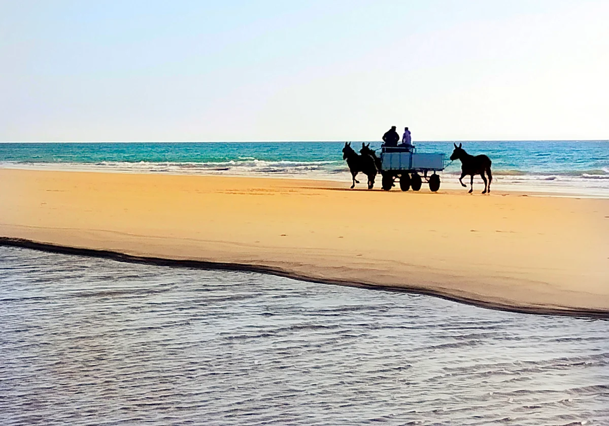 The contagious happiness of a town in the south of Spain