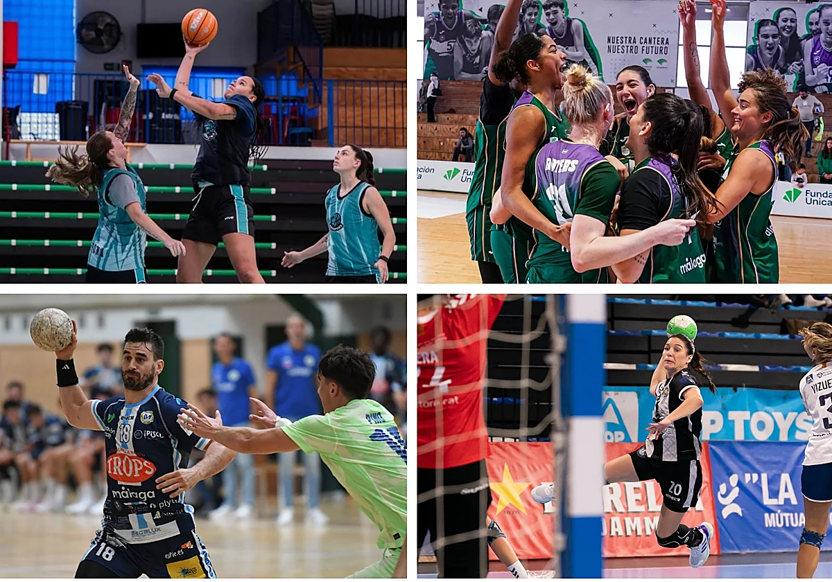 Polideportivo malagueño: varios equipos vuelven a la acción tras las últimas ventanas internacionales