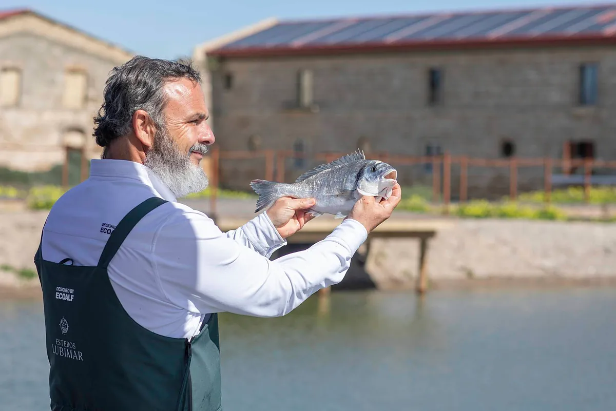 Así es el 'nuevo' Aponiente