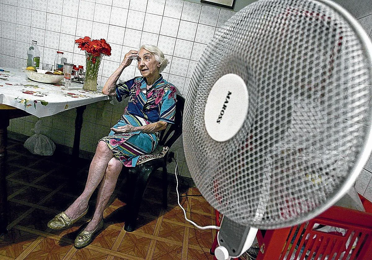 Cuidadoras compartidas para ancianos contra la soledad