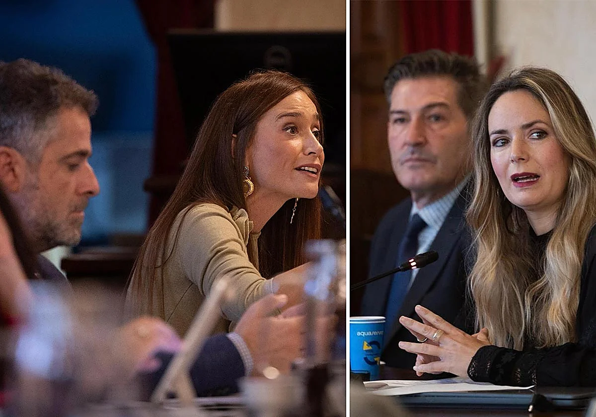 ¿Por qué el PP y Vox se llevan francamente mal en el Ayuntamiento de Málaga?