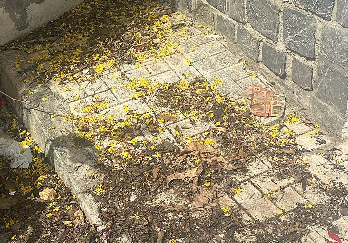 «Muchas calles de Pedregalejo llevan semanas sin barrer»