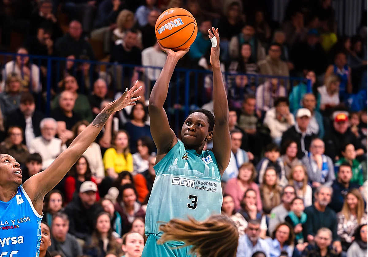 Un CAB Estepona de récord ya roza la permanencia en la élite